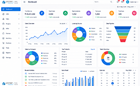 Custom CRM & ERP Solutions